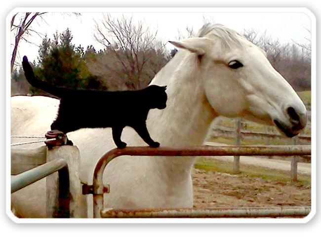 Let Your Light Shine with beadAURA