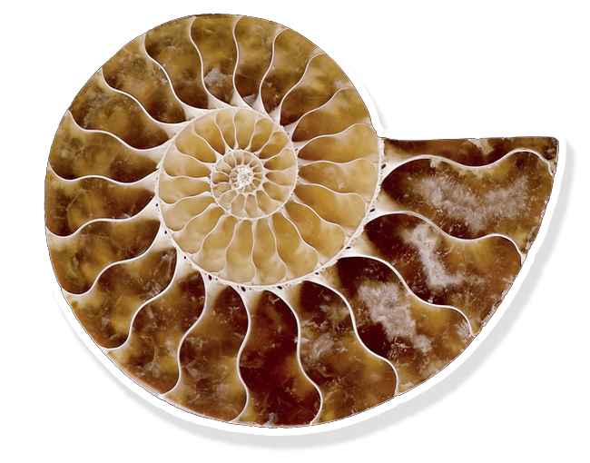 Let Your Light Shine with beadAURA